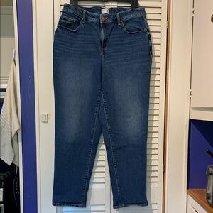 Lane Bryant Boyfriend Jeans